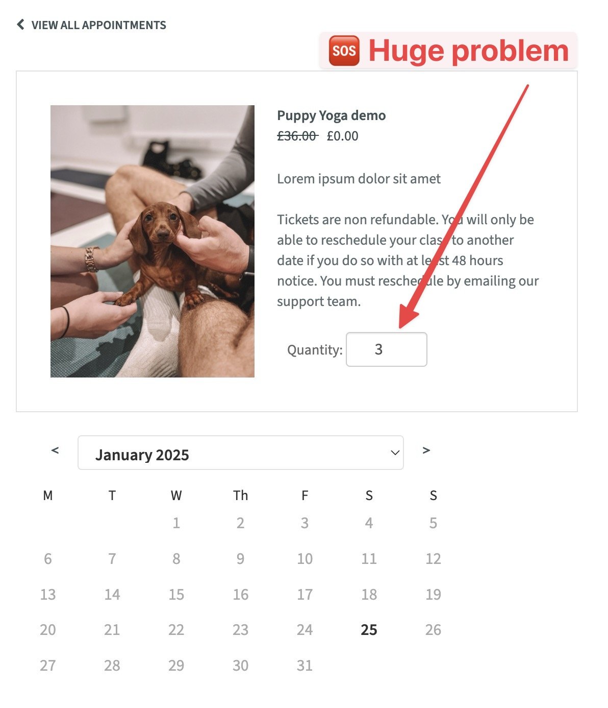 Acuity Scheduling screenshot, adjusting quantity of appointments breaks Google Tag Manager conversion tracking, ROAS, conversion values and more